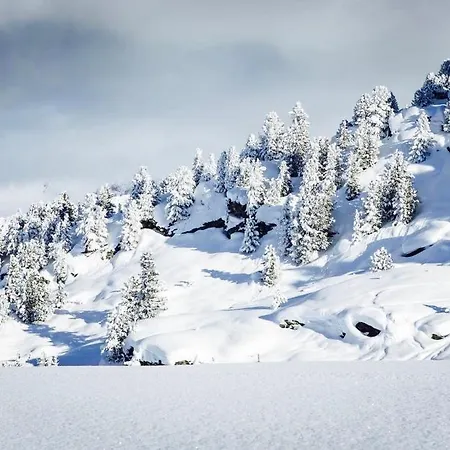 شقة Domaine Du Jardin Alpin كورشوفيل